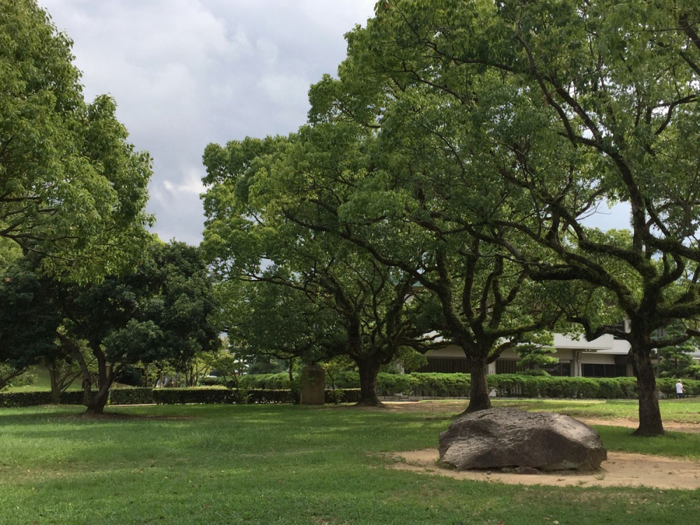 芝生公園